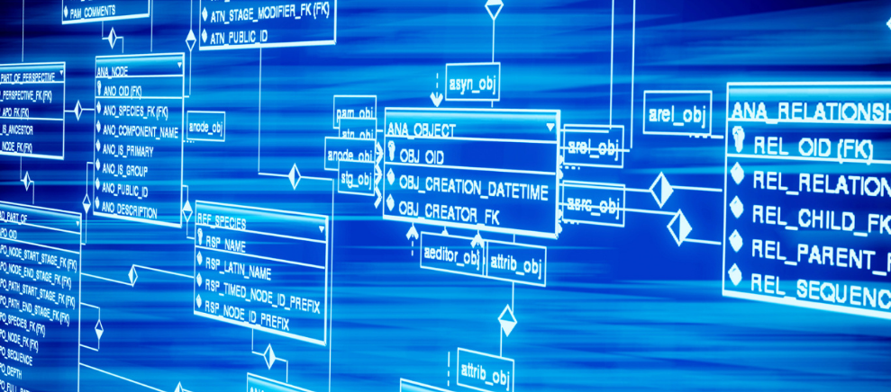 “超声炮”“热玛吉”收费乱？美容整形有了统一价格规范